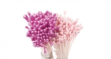 Stamine roz,violet