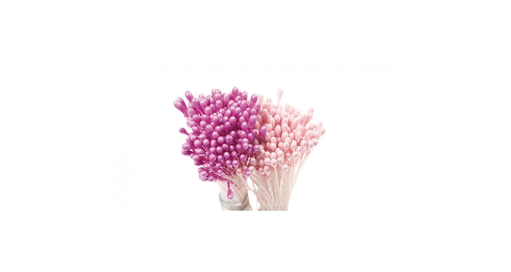 Stamine roz,violet
