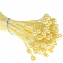 Stamine pentru flori-0