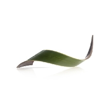 Decor din ciocolata twist green 80buc