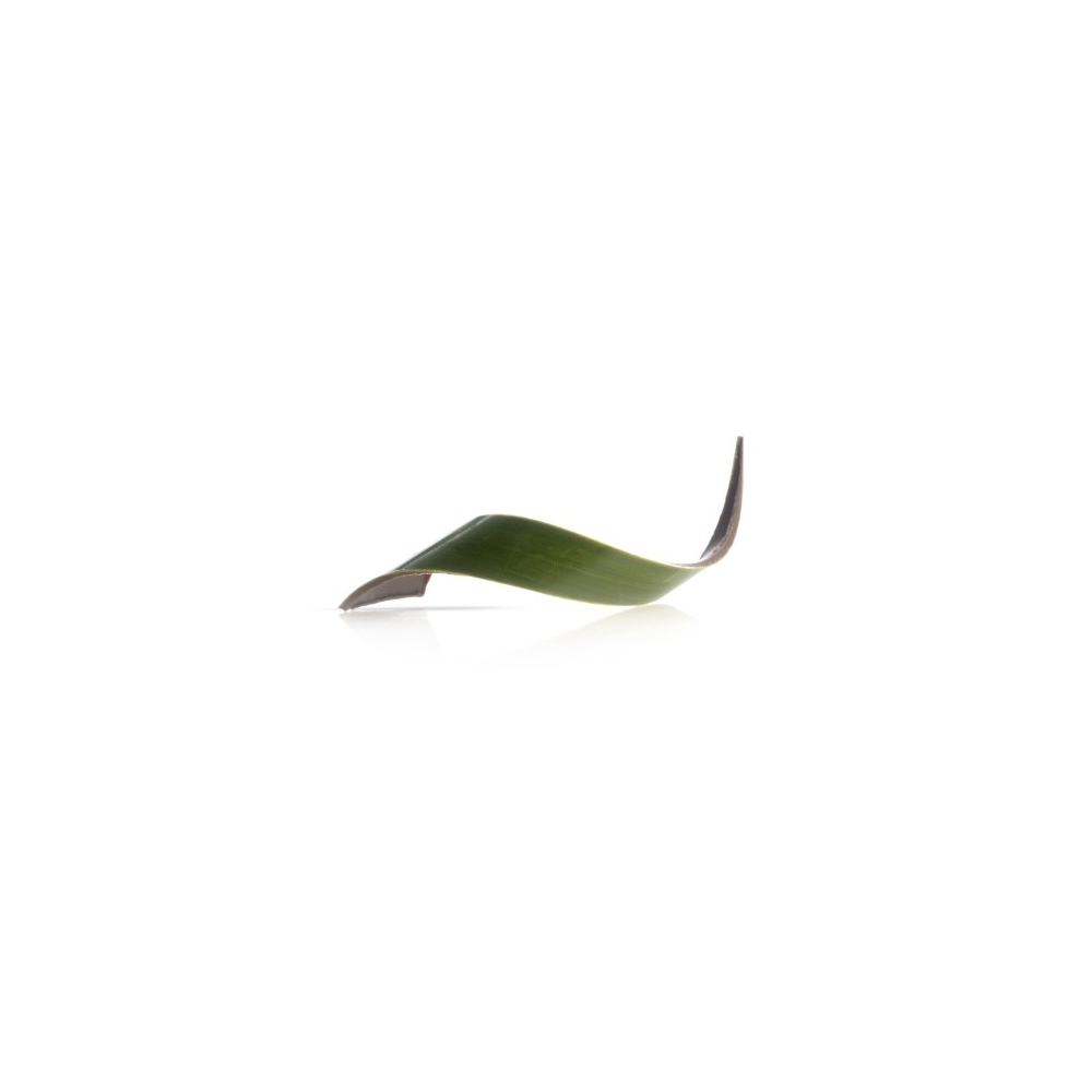 Decor din ciocolata twist green 80buc