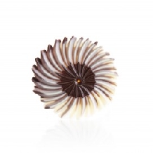 Decoratiuni din ciocolata Rosette Dark/White dobla - 30buc