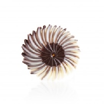 Decoratiuni din ciocolata Rosette Dark/White dobla - 30buc