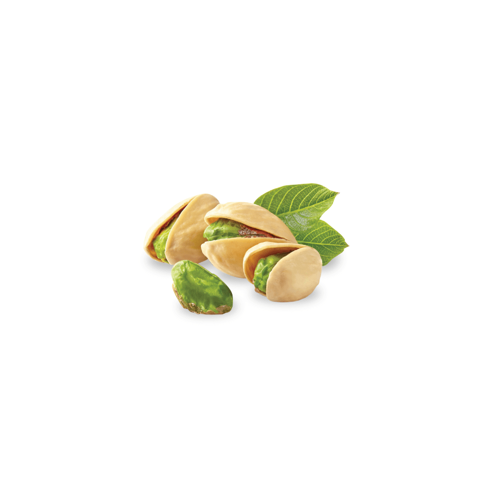 Pasta Fistic 100 % Mediterraneo  Martini 3kg