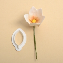 Decupator minitulip