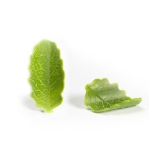 Decoratiuni din ciocolata frunze verzi Curvy Leaf Dobla - 108buc