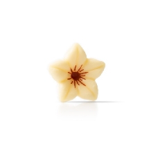 Decoratiuni din ciocolata alba floricele Flower white dobla - 76buc