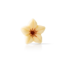 Decoratiuni din ciocolata alba floricele Flower white dobla - 76buc