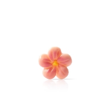 Decoratiuni din ciocolata floare piersic Blossom Dobla - 200buc