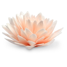 Decor floare din wafa somon - diam 12.5cm-1