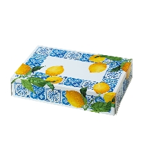 Cutie din carton pentru fursecuri si briose Amalfi Decora - 23x16cm H5cm