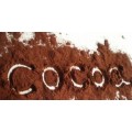 Cacao pudra